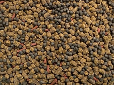 AXOLOTL SOFT FOOD MIX & MINI BLOODWORM STICKS,BLACKWORM PELLETS Frogs,ABF7BW