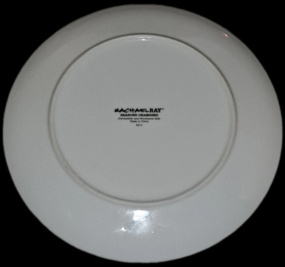 RACHAEL RAY "Seasons Changing"10.5" Plates (LOT of FIVE) OUT OF STOCK cir-2017 - Image 2 of 3