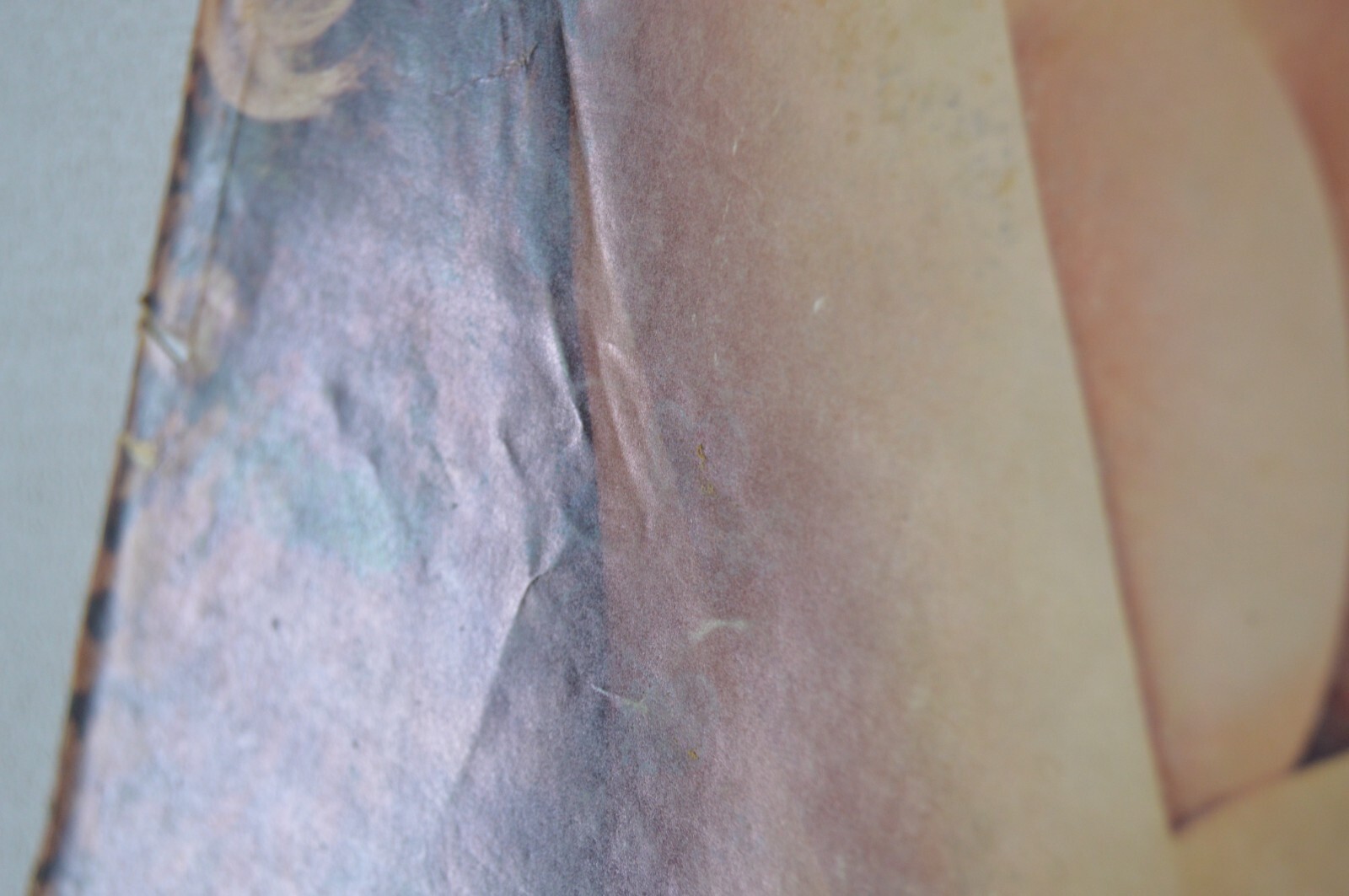Bild 3 von 12