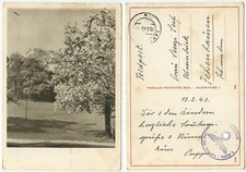 34823 - Feldpostkarte - Landau 13.2.1943 nach Ichenhausen