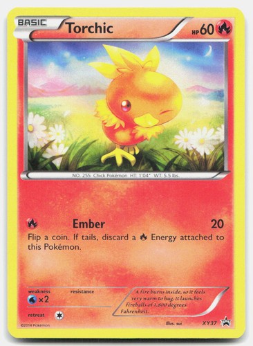 XY Promo Torchic XY37 Lightly Played Holo Pokemon P Tcg Card