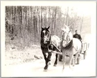 B&W WW2 Snapshot Occupied Germany Man Driving Horse Cart Vilseck