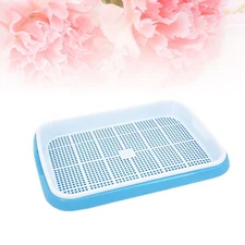  Sprouting Kit Soil-free Cultivation Germination Tray Garden Trays for Plants