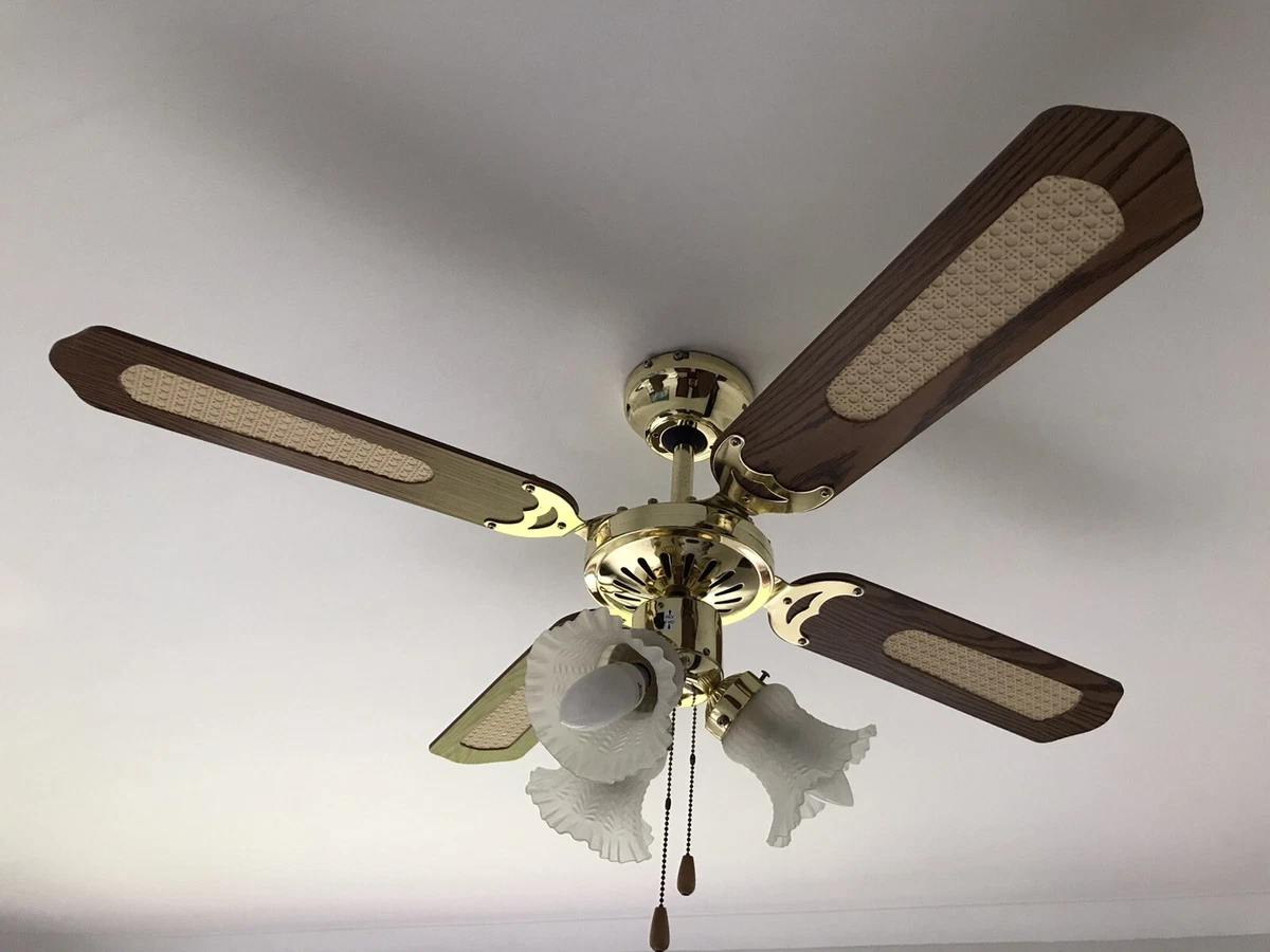 Princess Trio Ceiling Fan Shelly Lighting