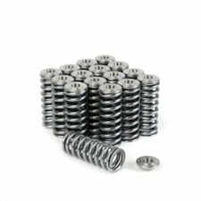Skunk2 Racing 344-05-1350 Alpha Series Valve Spring and Titanium Retainer Kit