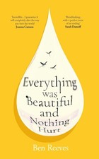 Everything Was Beautiful and Nothing Hurt by Ben Reeves Paperback Fiction Novel