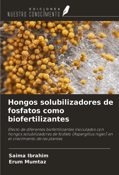 Hongos Solubilizadores De Fosfatos Como Biofertilizantes Saima Ibrahim (U. A.)-image