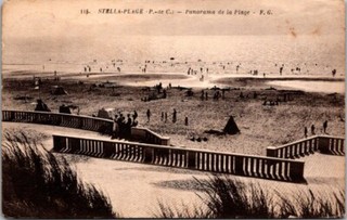 50405 cpa Stella Plage Panorama de la Plage