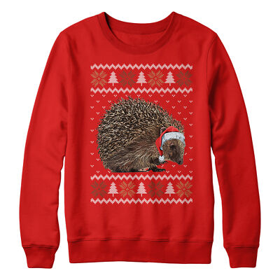 Christmas Hedgehog Sweatshirt Wildlife Animal Jumper Day Kids Animals  UK