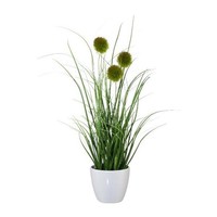 artplants Deko Wollgras Borfi Im Dekotopf, Rispen, GrüN, 35Cm