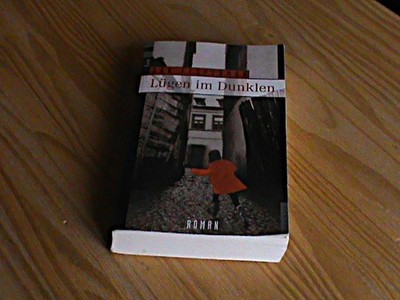 Dan Fesperman - LÜGEN IM DUNKLEN *Taschenbuch List v. 2000* TOP