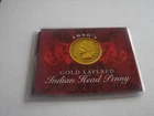 1895 Gold Layered  Indian Head Penny  – Historic Vintage Copper Cent in Case