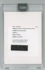 Will Riley 2025-26 Panini Signature Series Rookie Auto Redemption #13 Wizards
