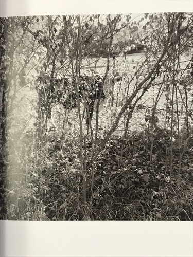 First Doubt: Optical Confusion in Modern Photography, Chuang Zucker Yale 2008 - Picture 12 of 12