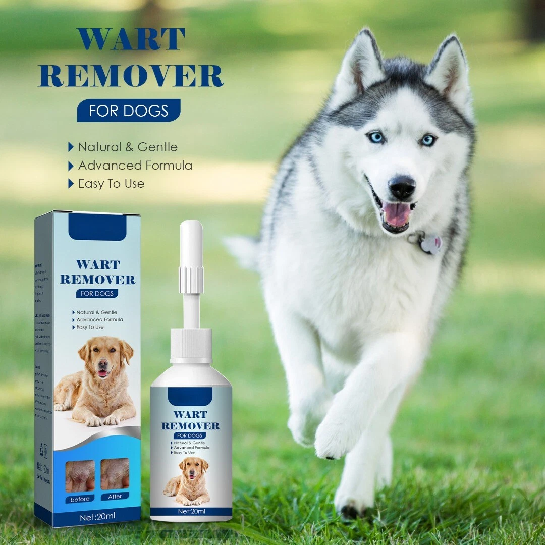 Can You Safely Use Wart Remover On Dogs? A Vets Guide