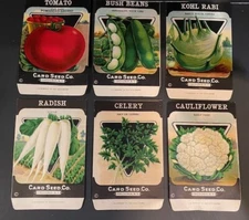 NOS Card Seed Company Greene Lithograph Vintage unused Seed Packets Fredonia N.Y