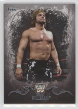 2016 Topps WWE Undisputed Divas Championship Silver 13/50 Brian Pillman #50 0ad