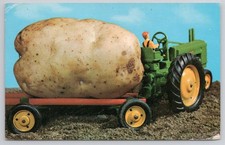Giant Potato Prince Edward Island Canada Plastichrome Postcard 1970s