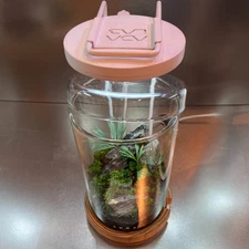 ADA Lab Maru 95 Glass Pot with Wood Base Light Wire Stand Aqua Design Amano