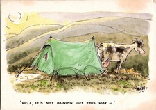 Postcard Well, It's Not Raining Out This Way  by Rupert Besley