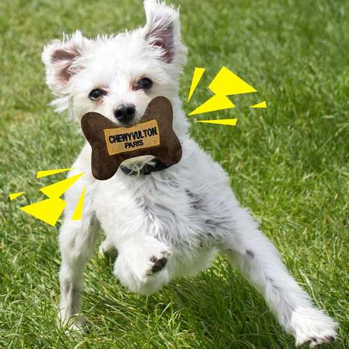 Dog Squeak Toys Plush Pet Teeth Grinding, Cute and Decoration, Shaped like a Bon - Picture 2 of 12