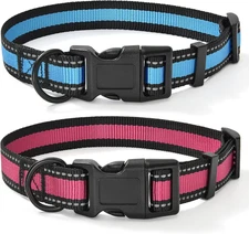 Dog Collar | Reflective 3M Stripe with Nylon Band (Blue/Pink, X-Small (Pack of 2