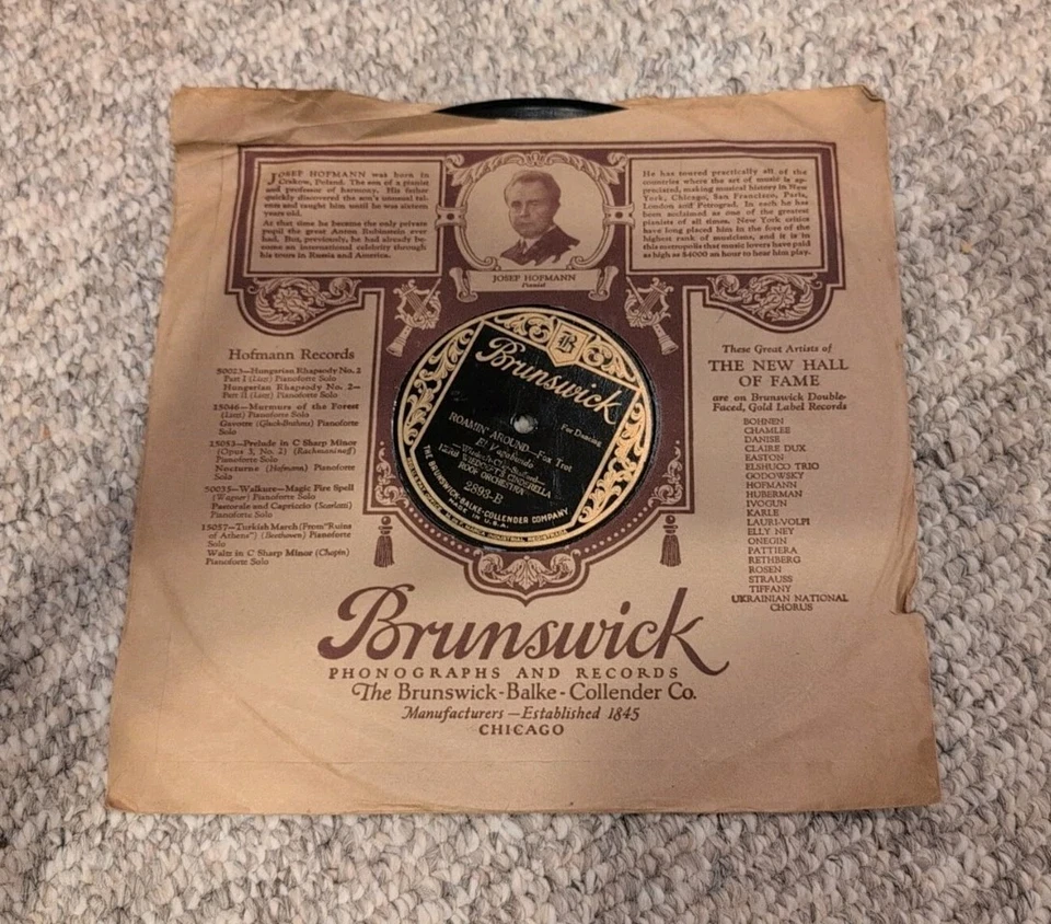 Vintage BRUNSWICK Record 78 rpm #2893 Released 5/1925 100 Yrs Old Original sleev Foto 4 de 4