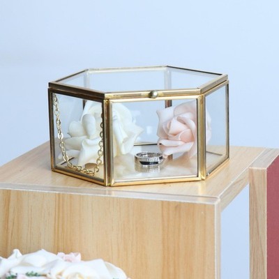 Gold Hexagon Klarglas aus aus  Geometrische Terrarium Sukkulente Desktop