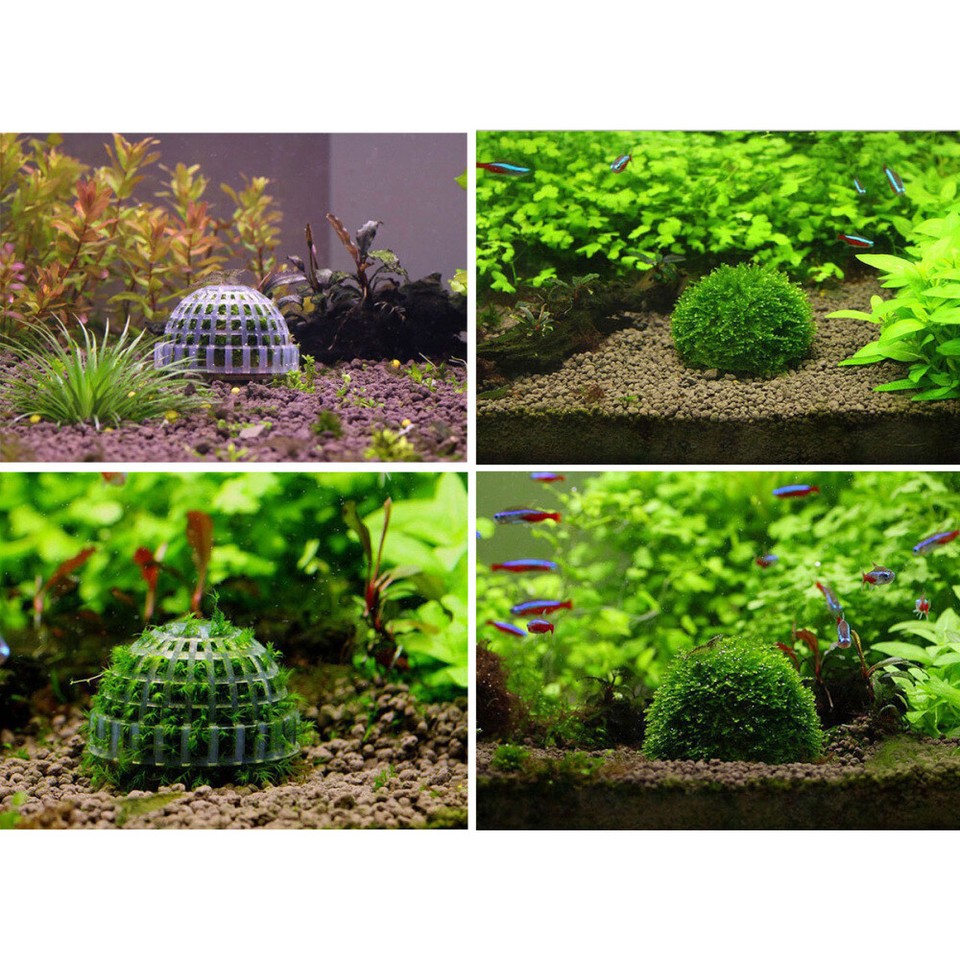 Moss Ball Mineral Balls Betta Hideout Fish Tank Plant Holder Aquatic Aquarium eBay