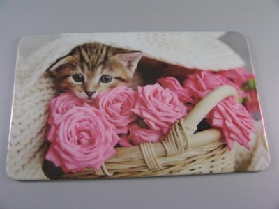    Ƹ̵̡Ӝ̵̨̄Ʒ Frühstücksbrett - mit Katzenmotiv Kinder Ƹ̵̡Ӝ̵̨̄Ʒ    