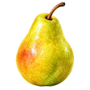 Pear Fruit Food Self Adhesive Vinyl Sticker