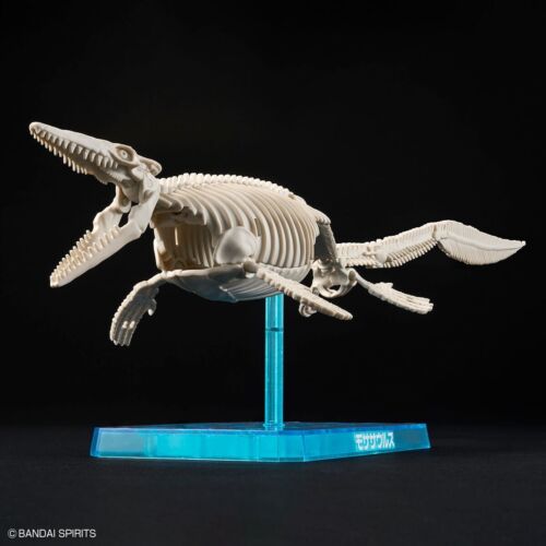 Mosasaurus Skelton & Dinosaur Plastic Model Kit Plannosaurus BANDAI - Picture 6 of 6