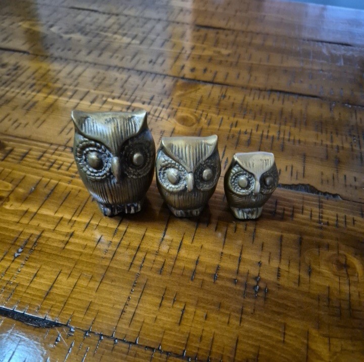 Picture 13 of 13