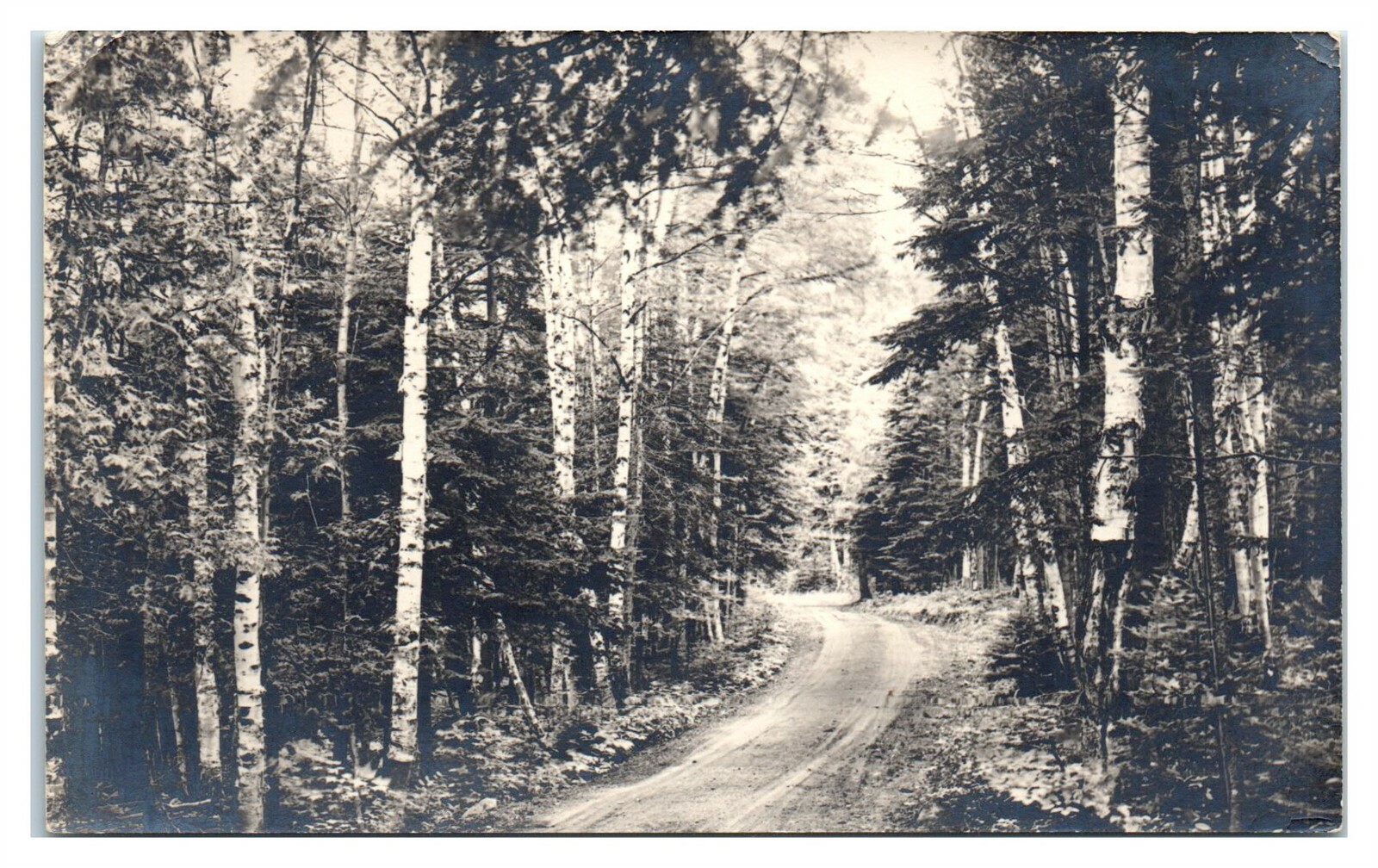 RPPC Henderson's Road, Jackman, Maine Real Photo Postcard *6S(4)7 eBay