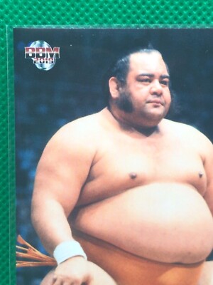 yamamokoページ s-l400.jpg