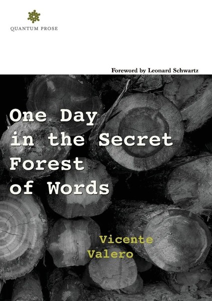 Vicente Valero | One Day In The Secret Forest Of Words | Taschenbuch | Englisch-image