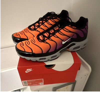 Nike Air Max Plus Men s Sneakers Desert Sunset Orange Black Purple size 12