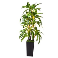 Artificial Dracaena Tree with Lights Fake Plants with Black Tall Planter - 5Ft