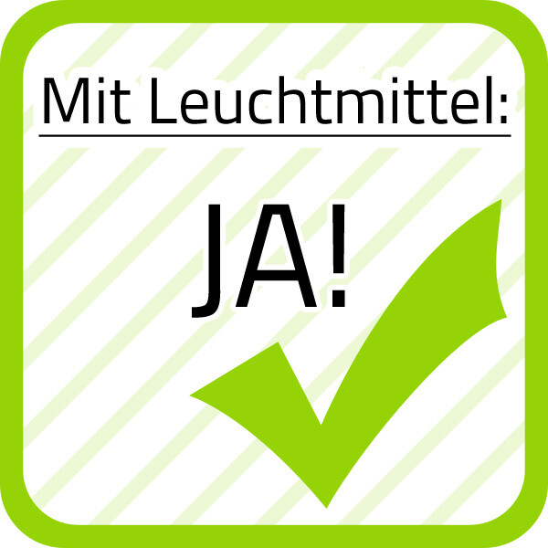 Busch-Jaeger LED Beleuchtungseinsatz 8393-17 LED Lampe Leuchte 