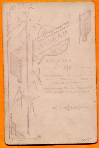 Morrow, OH, Portrait of a Young Man, by Leedham, circa 1880s Backstamp - Picture 2 of 3