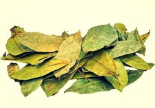 Soursop Leaves Tea 4.4 oz 125g Guanabana Graviola
