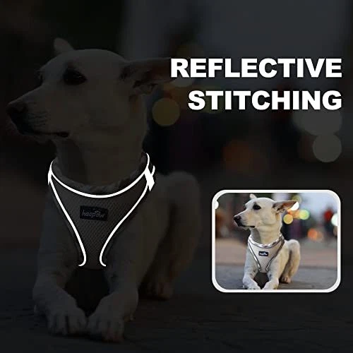 Dog Harness with Leash Set, No S (Chest 12.5''-14.7'', Weight 7-11 lb) Beige