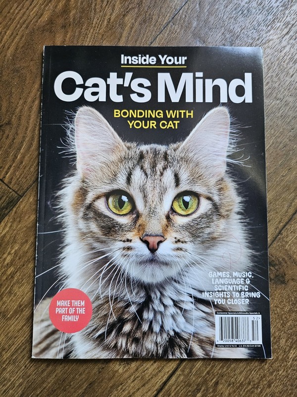 Inside Your Cat's Mind Magazine - BONDING WITH YOUR CAT - Part Of The Family 