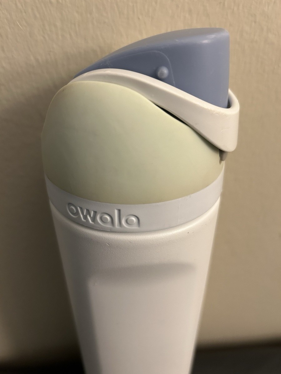 Owala 24 oz. FreeSip Stainless Steel Water Bottle - ICED