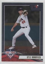 2019 Panini USA Baseball Stars & Stripes Longevity Kyle Brnovich #2 ff8
