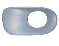Nebelscheinwerferrahmen Rechts Bmw X5 E53 2004-2007 Lackierbar