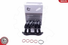 ESEN SKV 49SKV044 Ansaugkrümmer Modul für Citroën, Peugeot