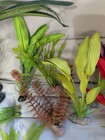 Artificial Aquarium Plant Lot — photo 7