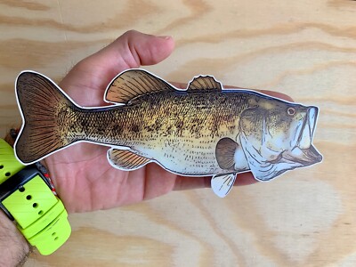Big Mouth Bass Sticker Fishing Fly Fish Car Bumper Decal