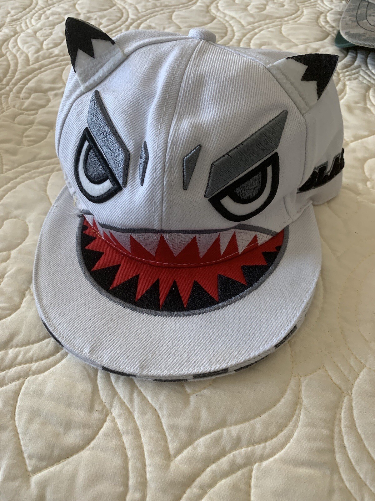 Picture 11 of 11